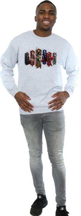 Produktbild Justice League Movie Team Hexagons Sweatshirt (M)