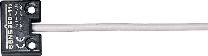Immagine prodotto Schmersal Sensore BNS 250-11ZG (0.01 m)