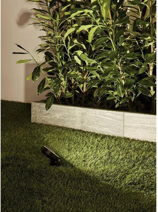 Produktbild Paulmann Outdoor Plug & Shine Sting Spot (655 lm, IP67)
