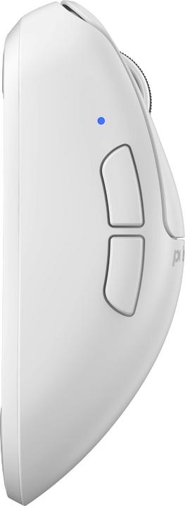 Actual product image Pulsar Xlite V4 - Medium Size 2 (Wireless, Cable)