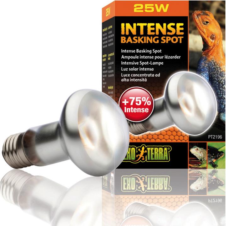 Actual product image Exo Terra Bulb Intense Basking Spot 25W (UVA)