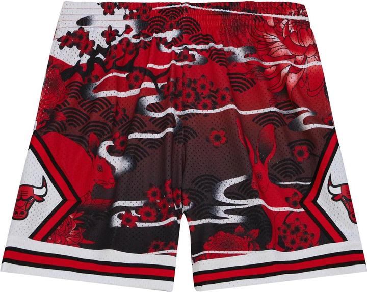Mitchell & Ness M&N NBA ASIAN Swingman 5.0 Boston Chicago Bulls - XXL (XXL)