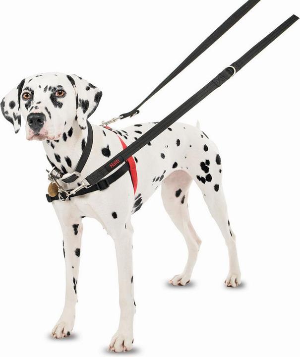 Image du produit Company of Animals Halti Anti-Traction S Front Control (S, Chien, Général)