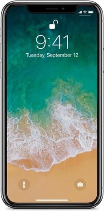 Image du produit Screenguard 100% Film de protection d'écran Apple iPhone XS Max Crystal Clear (1 pièce(s), Apple iPhone XS Max)