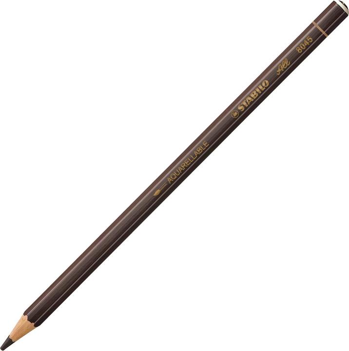 Image du produit STABILO Tous les crayons de couleur (Marron, 1 x)