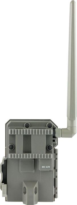 Actual product image Spypoint LM2