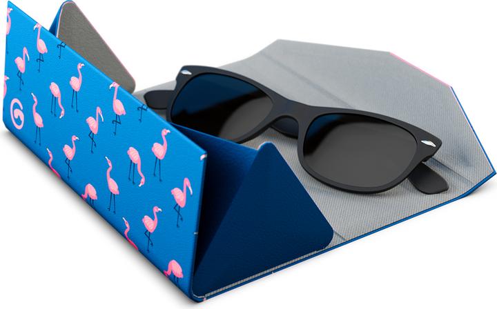 Image du produit Gogglesoc Flamingos Sunnycase