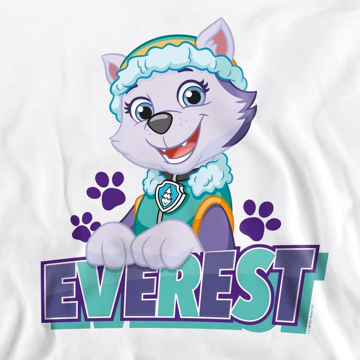 Actual product image Paw Patrol Unisex Adult Everest Sweatshirt (L)