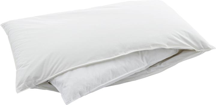 Image du produit Swiss Dream by billerbeck CLC 90 Oreiller de la nature (60 x 90 cm)