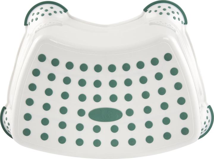 Actual product image keeeper Step stool