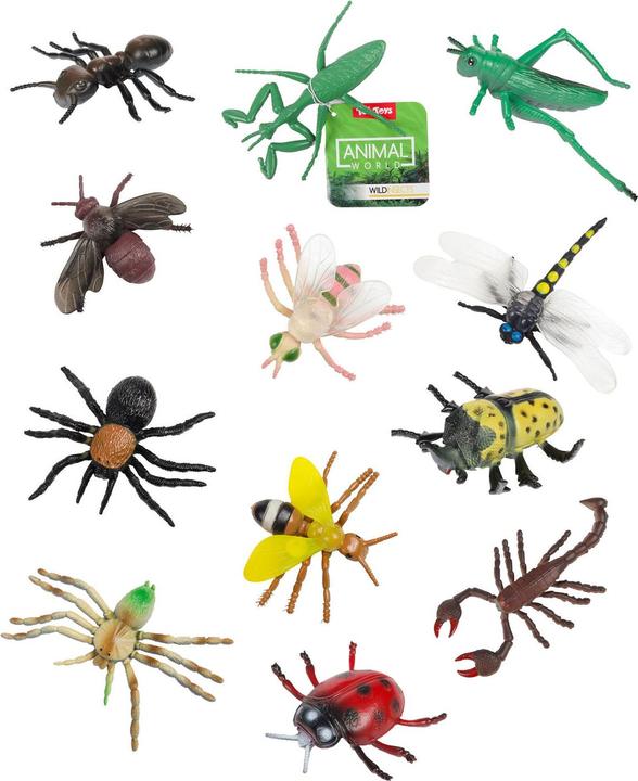 Actual product image Toi-Toys Animal world, big, creepy insect