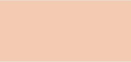 Immagine prodotto Smashbox Fondotinta Always On Skin-Balancing - 30 Ml (F20C)