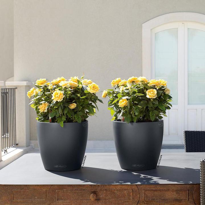 Produktbild Lechuza Classico 18 (19 cm)