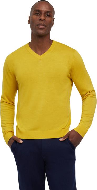 Actual product image Falke Men Pullover (XL)