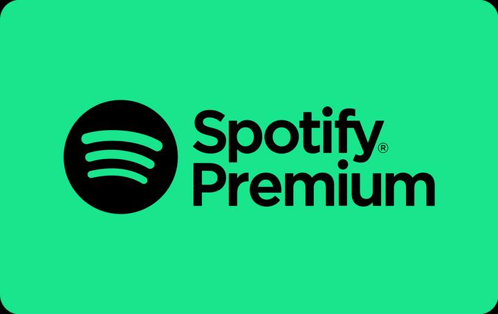 Spotify Premium Gutschein 12 Monate (156 CHF)