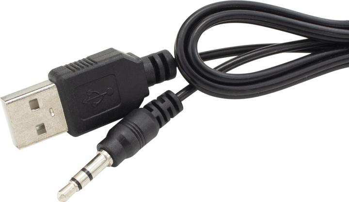 Actual product image White Shark Rhythm