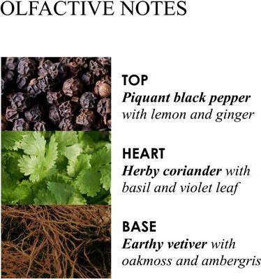 Actual product image Molton Brown Re-charge Black Pepper Body Lotion (Body lotion, 300 ml)
