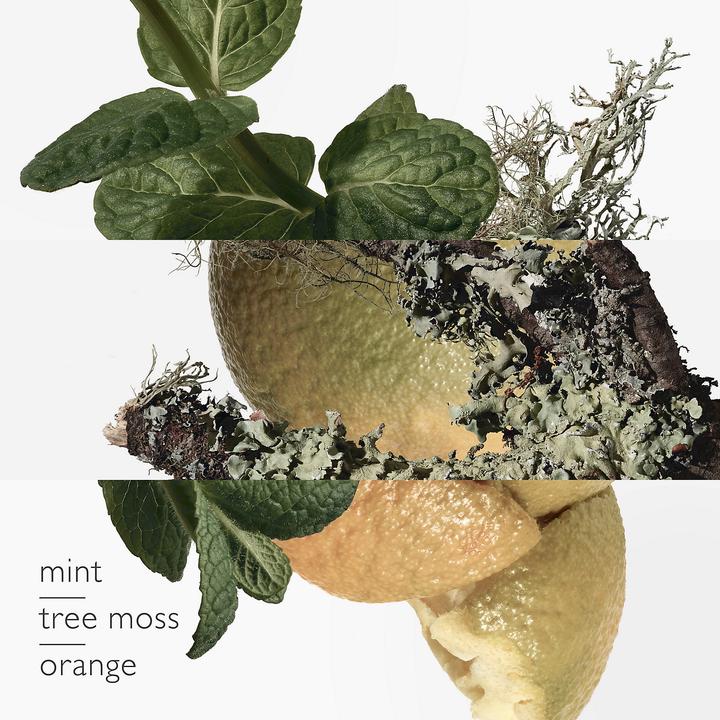 Immagine prodotto Hermès Eau d'Orange Verte (Eau de toilette, 50 ml)