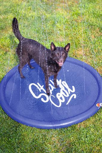 Actual product image Beeztees Bz Sprinkler Mat Stay Cool Bl (Dog pool)