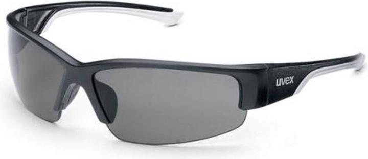 Produktbild Uvex Safety Schutzbrille polavision 9231