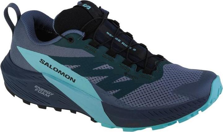 Salomon Sense Ride 5 GTX 471474 44 2/3 (44 2/3)