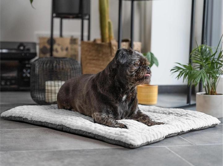 Produktbild Trend Pet Hunde-Decke Heaven, Grau, Gr.L (Hund)