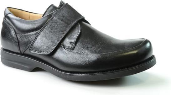 Anatomic Tapajos