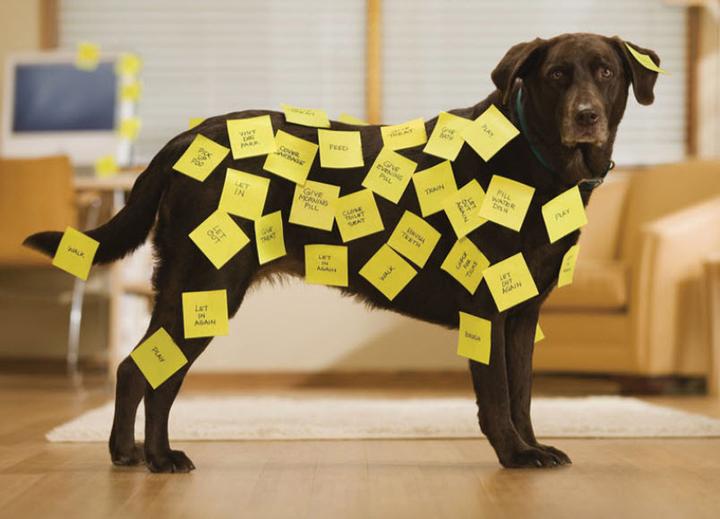 Actual product image Post-it Notes (76 x 76 mm)