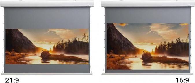 Actual product image Celexon Tension screen HomeCinema Dynamic Slate ALR 221x124cm 16:9 (100", 16:9)