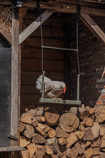 Actual product image Beeztees Feeding Station Chicken Swing, Grey