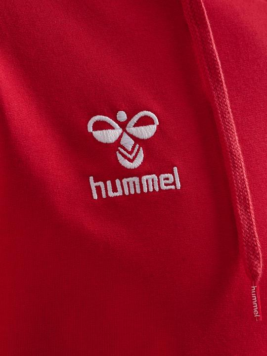 Actual product image hummel HMLGO 2.0 HOODIE (XL)