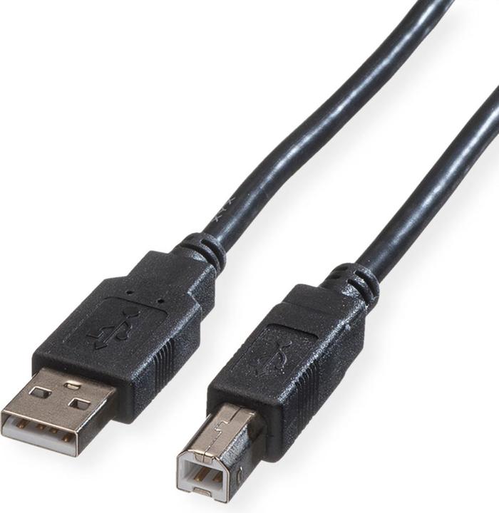 Actual product image Roline USB 2.0 cable (3 m, USB 2.0)