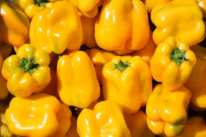 Image du produit Living Seeds Piment Quadrato D'asti Giallo (Graines de légumes)