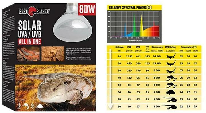 Actual product image Repti Planet Terrarium lamp solar light with UVA & UVB 125 W (UVB, UVA)