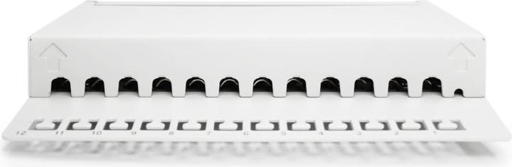Image du produit Digitus Bureau Cat 6A