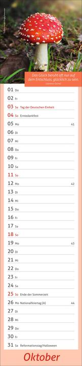 Produktbild times&moreTagevollerGlückLangplaner2026 (11 x 49 cm, Deutsch)