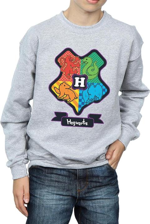 Immagine prodotto Hogwarts Junior Crest Felpa Ragazzi (140, 146)