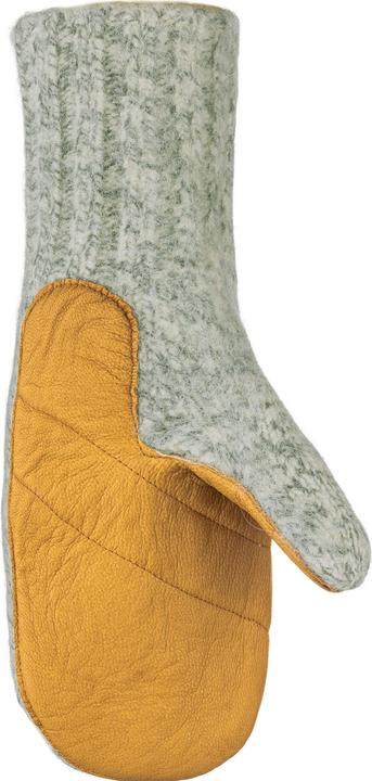 Image du produit Salewa Gants en cuir Walk Wool (M)