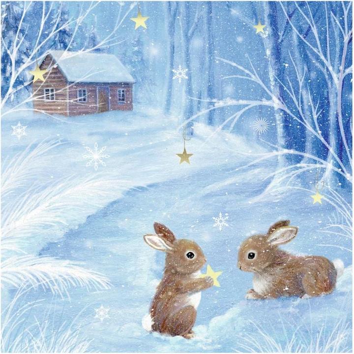 Immagine prodotto Magia d'inverno
