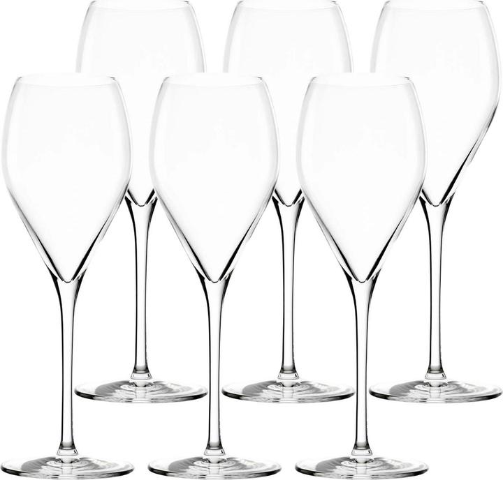 Actual product image Stölzle Sparkling&Water Champagne Glass 343ml h:232mm (34.30 cl, 1 Glasses, Champagne glasses)