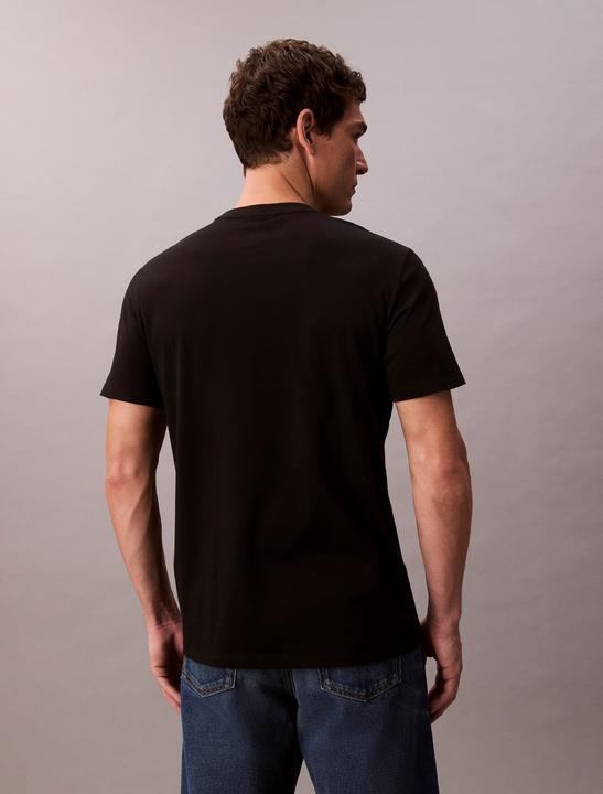 Immagine prodotto Calvin Klein Jeans Ss Badge 30s Jersey Classic Tee (L)