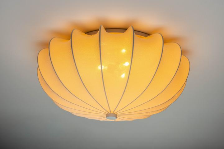 Actual product image Zuiver Lamp (E27)