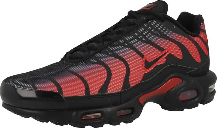 Actual product image Nike Air Max Plus (40)