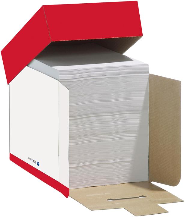 Papyrus Papier à copier Maxbox FSC A4 88026778 blanc, 80 g SB feuilles (80 g/m², 2500 x, A4)