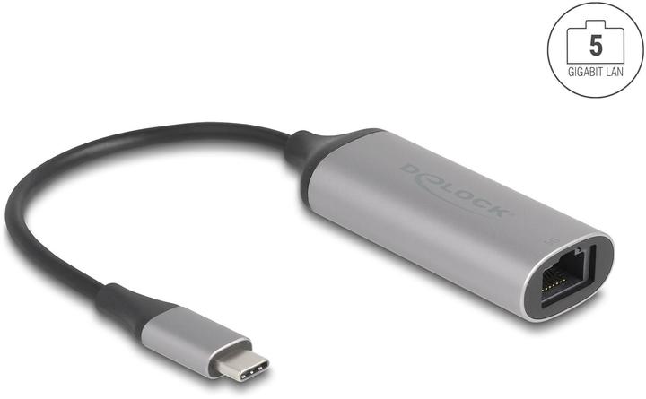 Delock USB Type-C Adapter zu 5 Gigabit LAN (USB-C, RJ45 WAN Port)