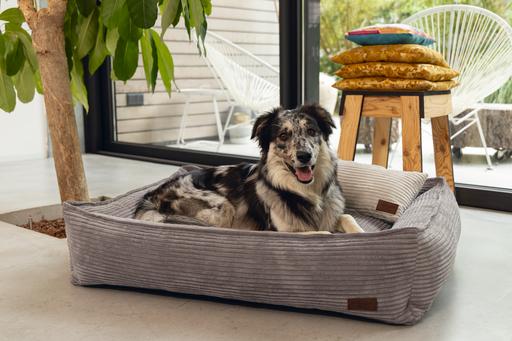Produktbild Designed by Lotte Ribbed (Hund)