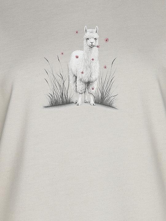 Actual product image Chillaz Klettershirt Alpaca Meadow (44)