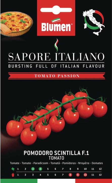 Produktbild Blumen Tomate Scintilla F1 (Gemüsesamen)