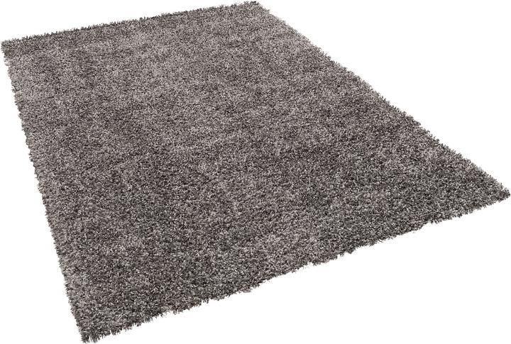 Image du produit Pergamon Tapis Shaggy à poils longs Cozy Mix (140 x 200 cm)