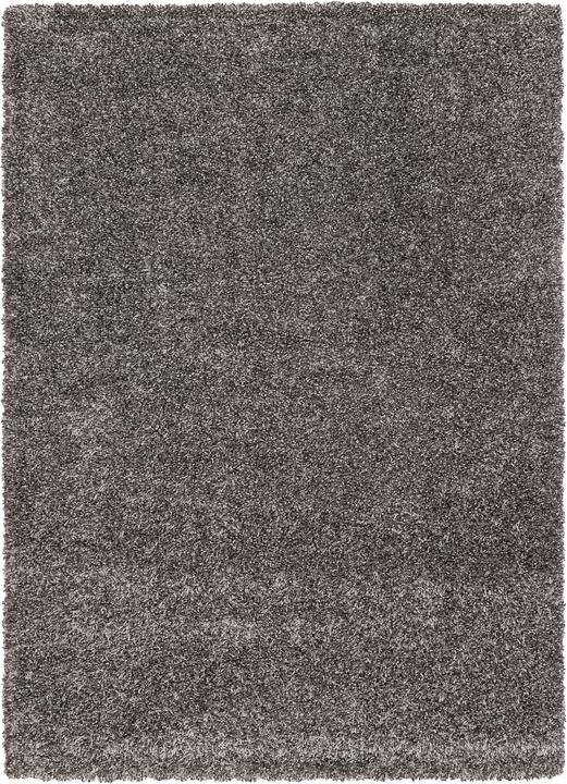 Image du produit Pergamon Tapis Shaggy à poils longs Cozy Mix (140 x 200 cm)